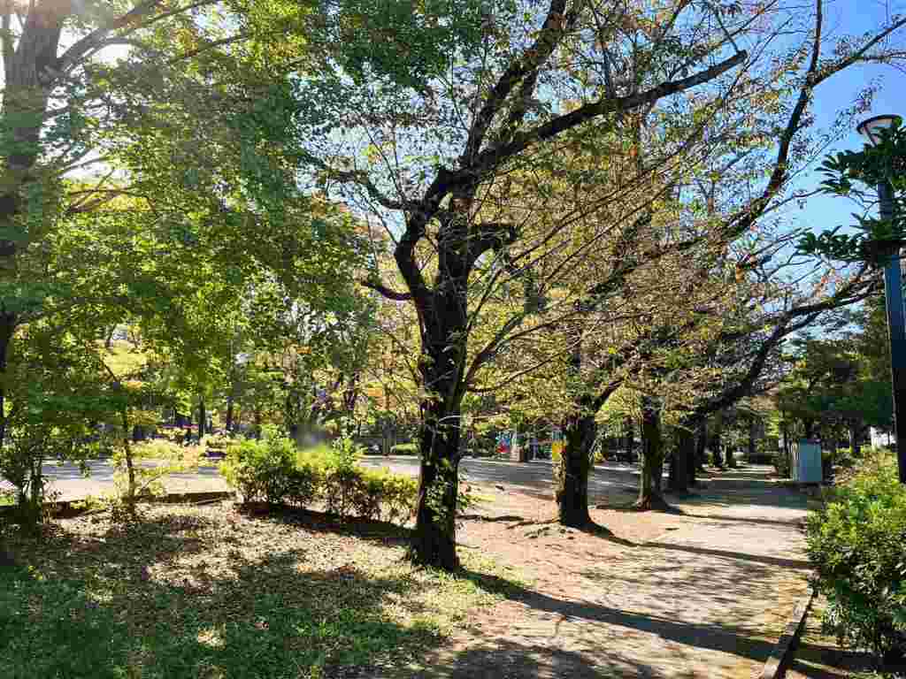 赤塚新町公園